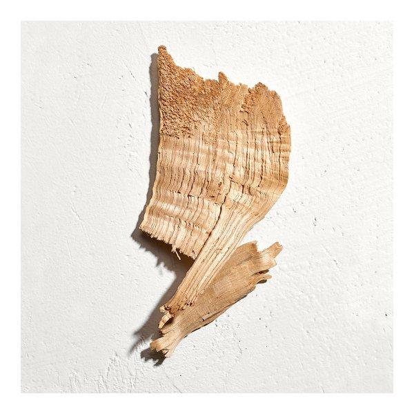 JIL SANDER SUN Parfum Men  