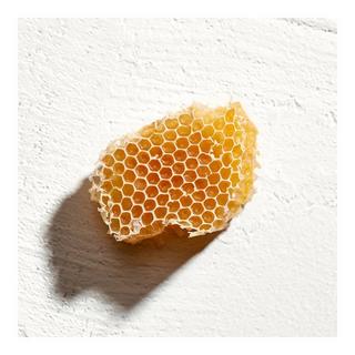 JIL SANDER SUN Parfum Women  