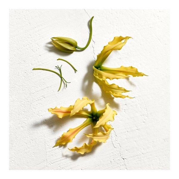 JIL SANDER SUN Parfum Women  