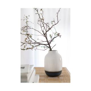 Villeroy & Boch Vaso Lave Home 