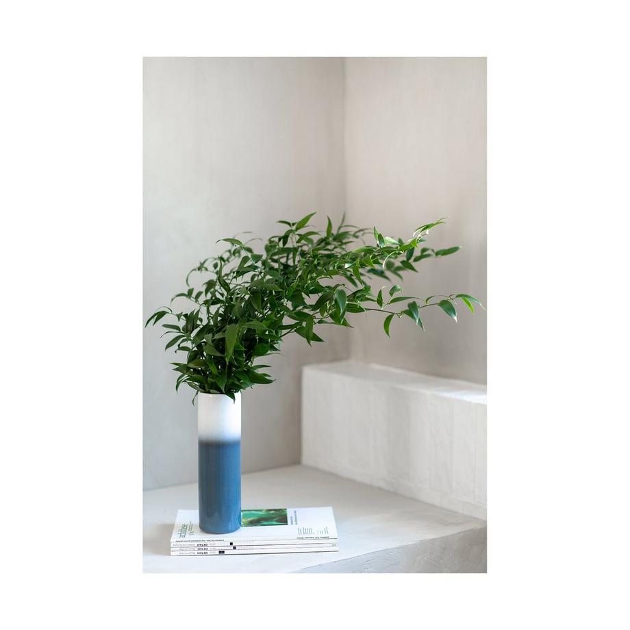 Villeroy&Boch Vaso Lave Home 