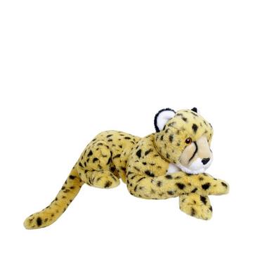 Gepard