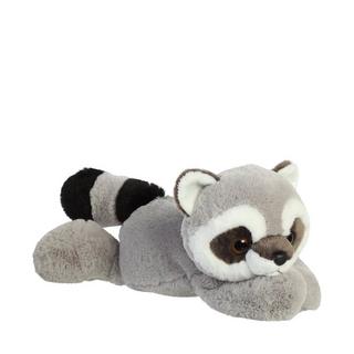 Aurora  Raton laveur 