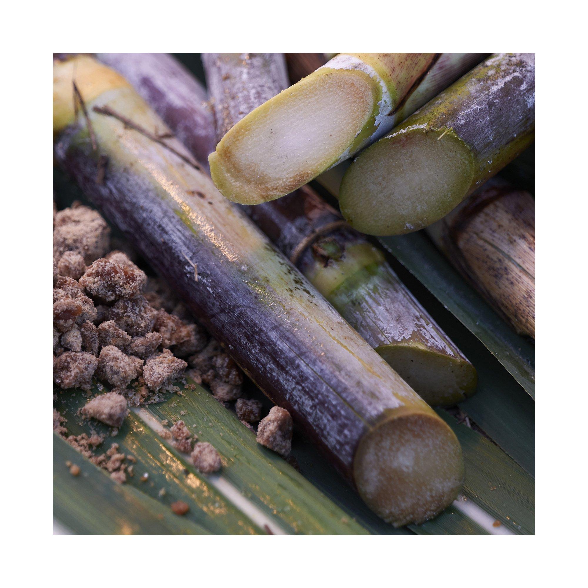 SHISEIDO Waso Waso Satocane Pore Purifying Scrub Mask  