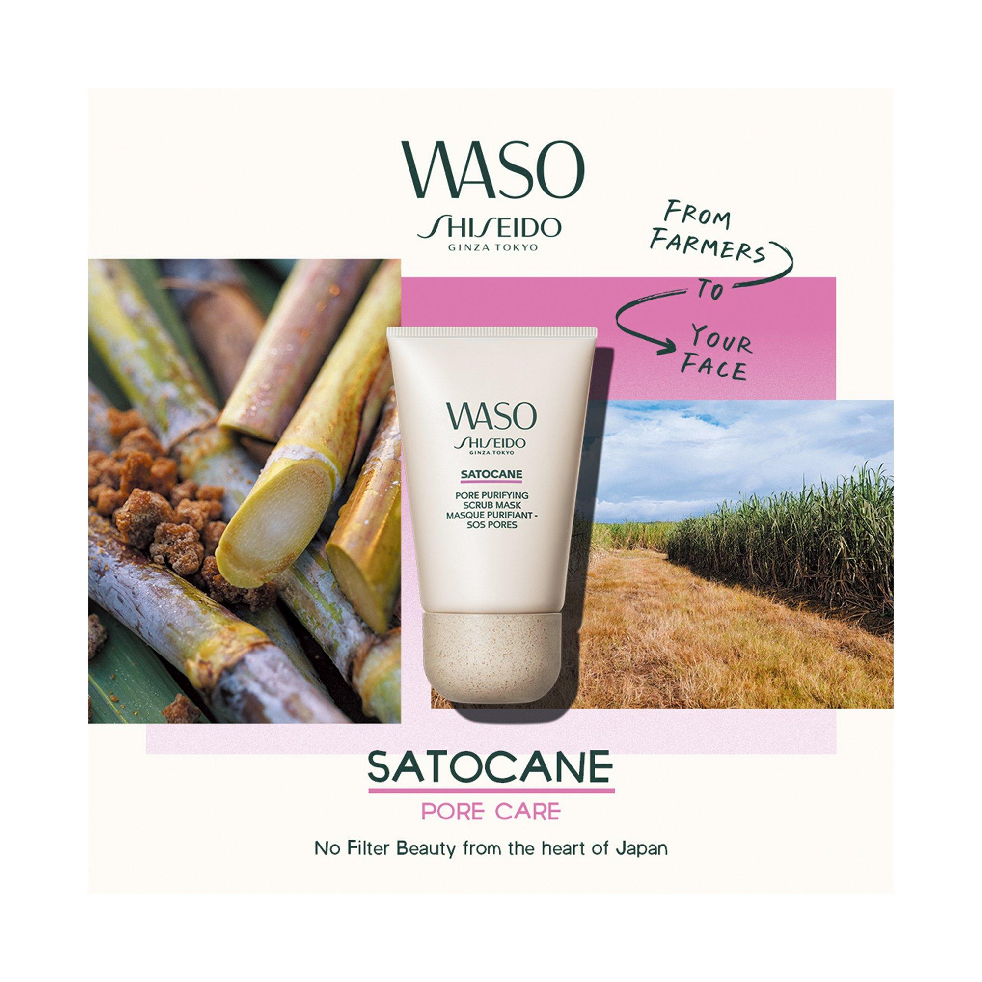 SHISEIDO Waso Waso Satocane Pore Purifying Scrub Mask  