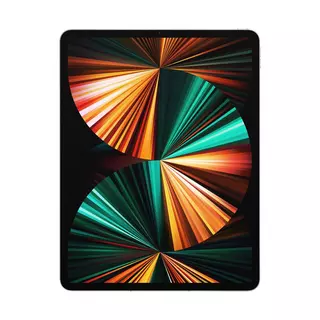 Apple iPad Pro 12.9" (2021) Cellular (256 GB) Tablet Silber