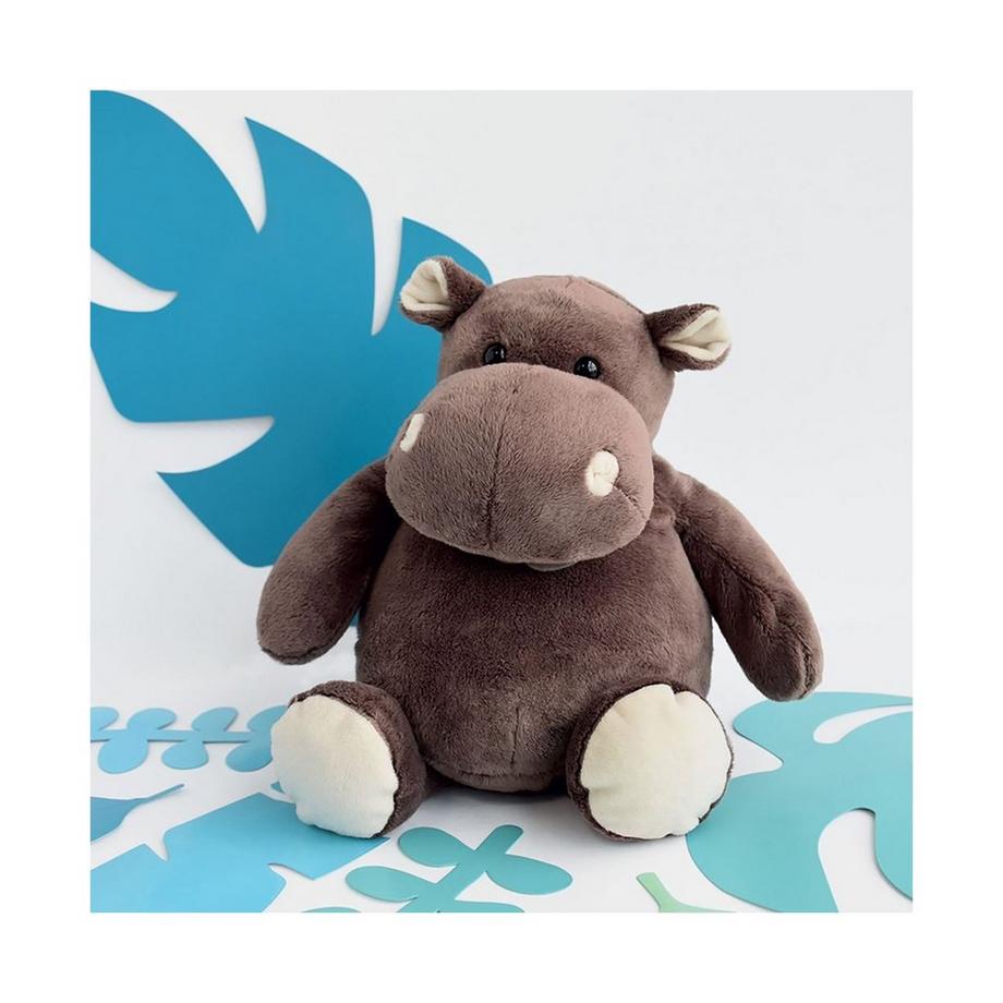 Histoire d'Ours  Hippo 