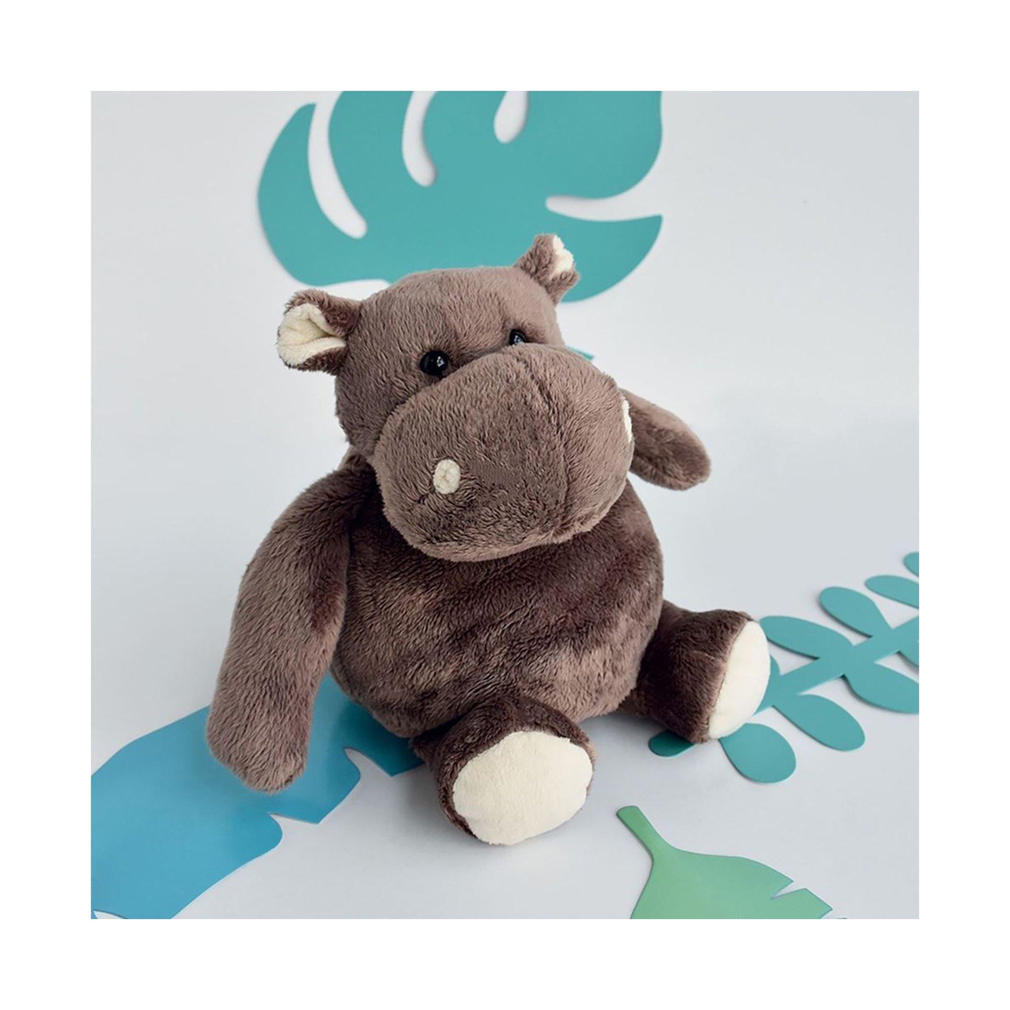 Histoire d'Ours  Hippopotame 