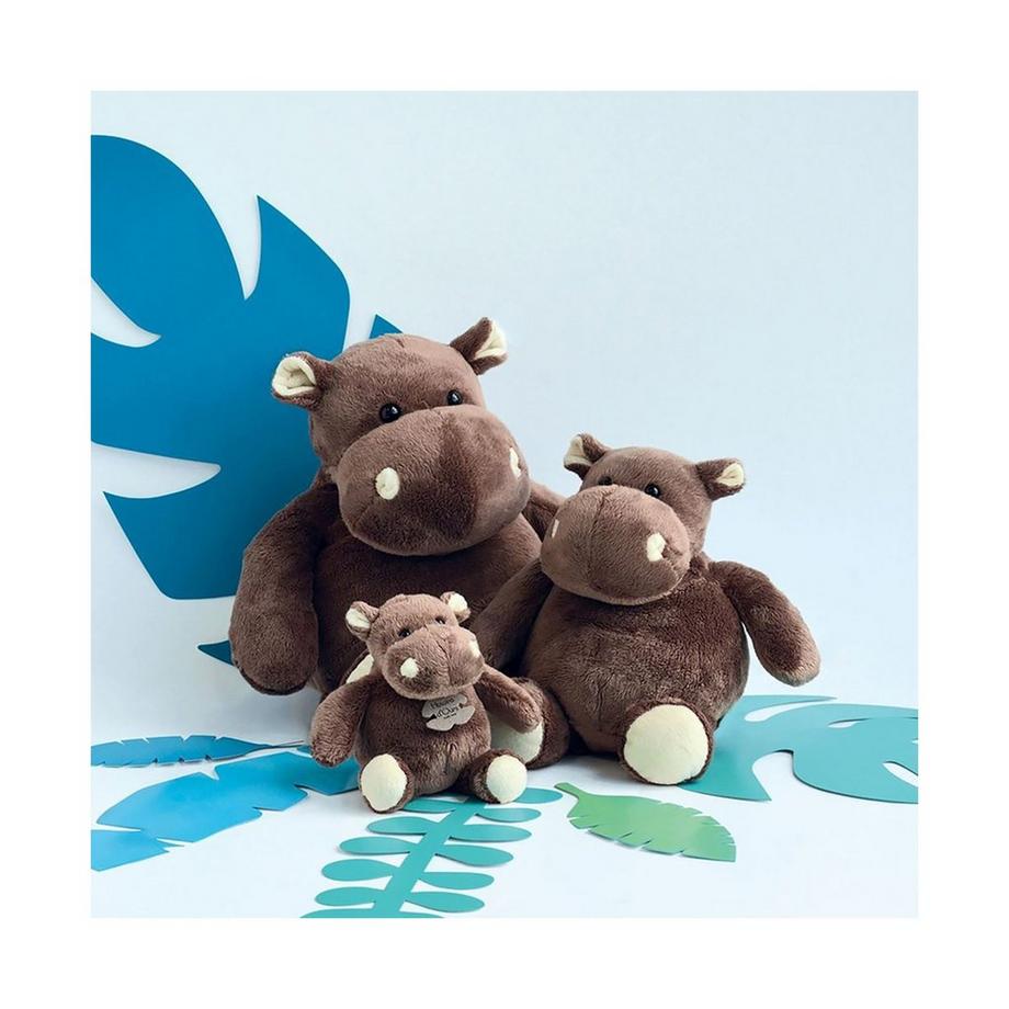 Histoire d'Ours  Hippo 