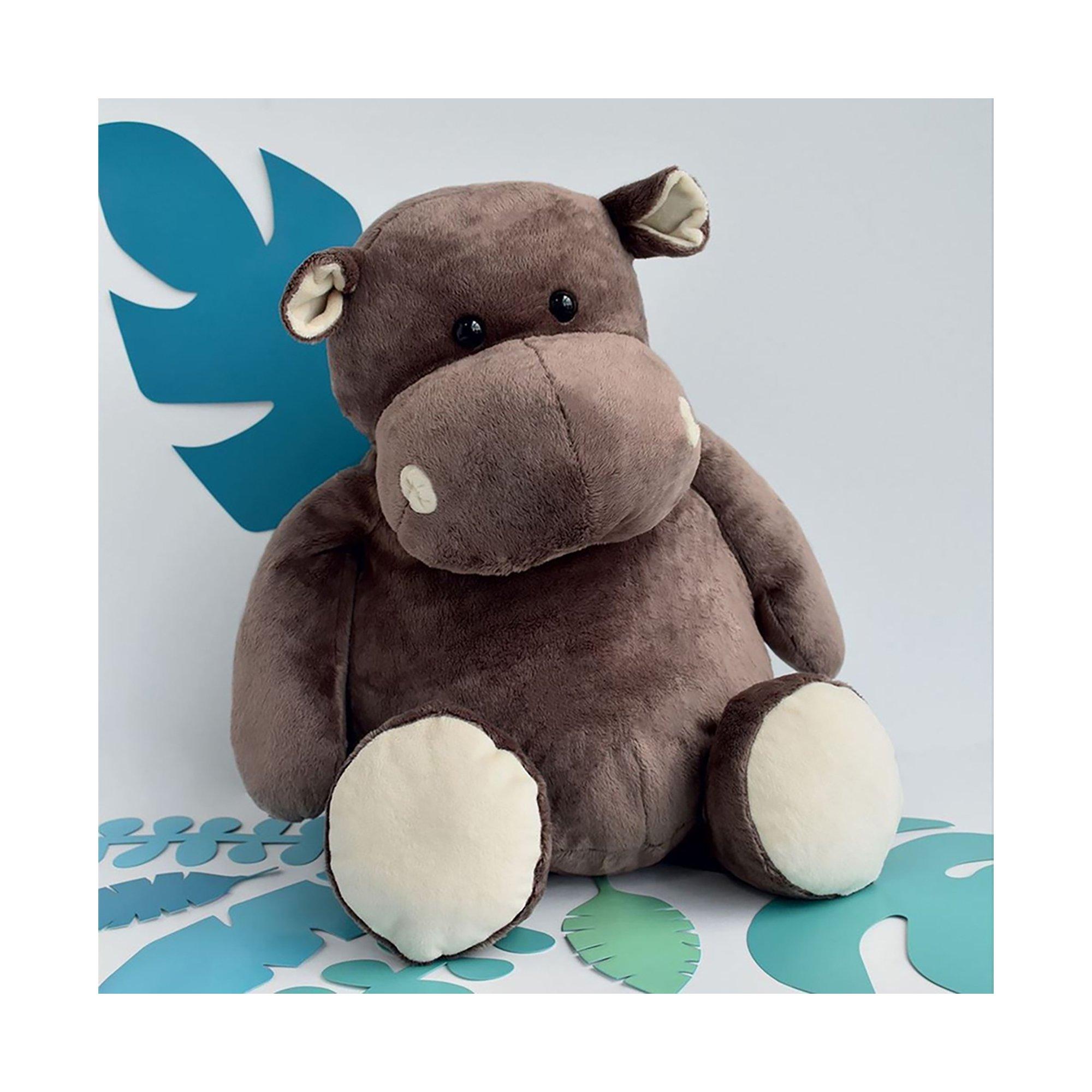 Histoire d'Ours  Hippo 