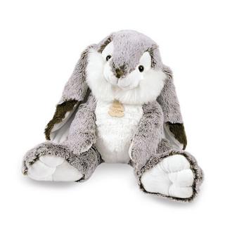 Histoire d'Ours  Coniglio Marius 