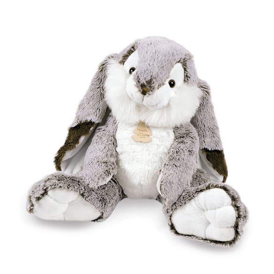 Histoire d'Ours  Lapin Marius 