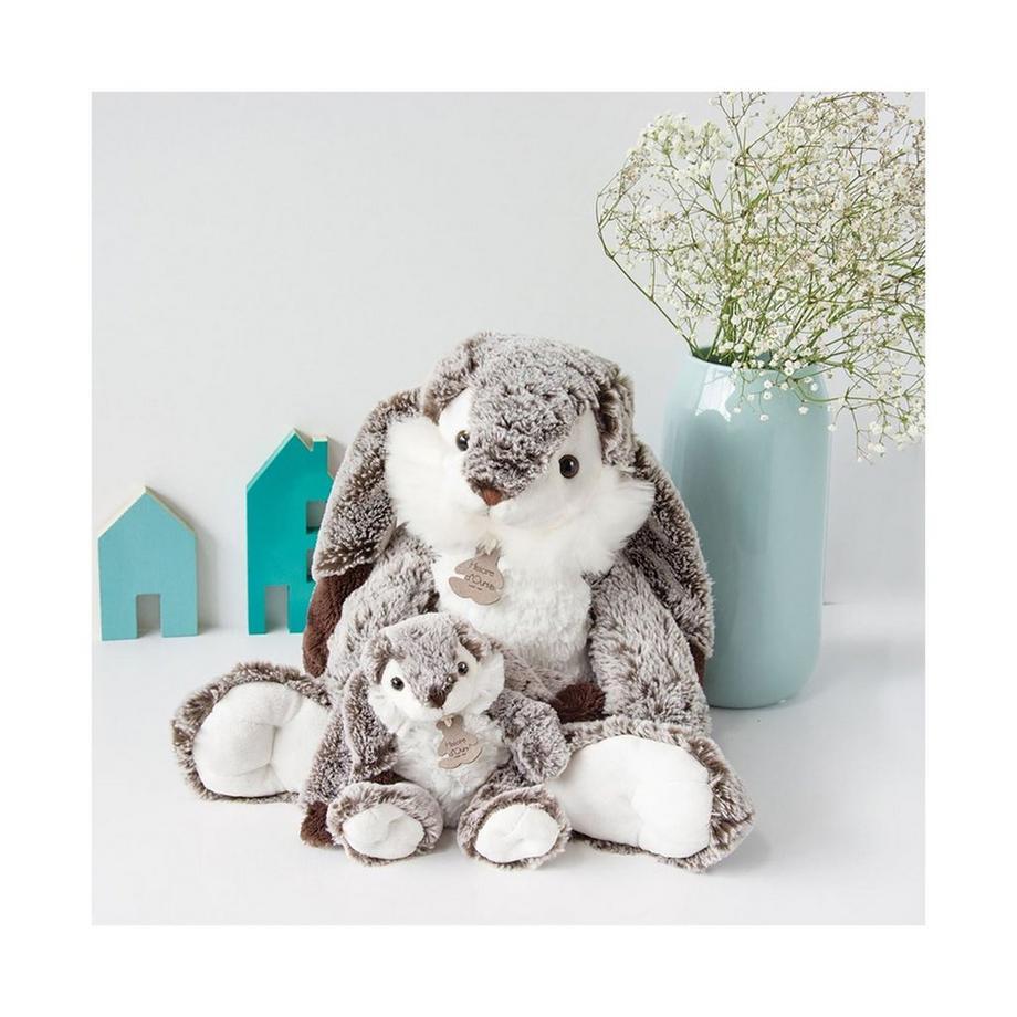 Histoire d'Ours  Lapin Marius 