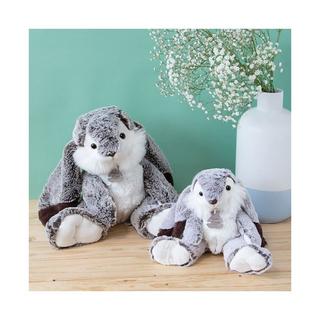 Histoire d'Ours  Coniglio Marius 