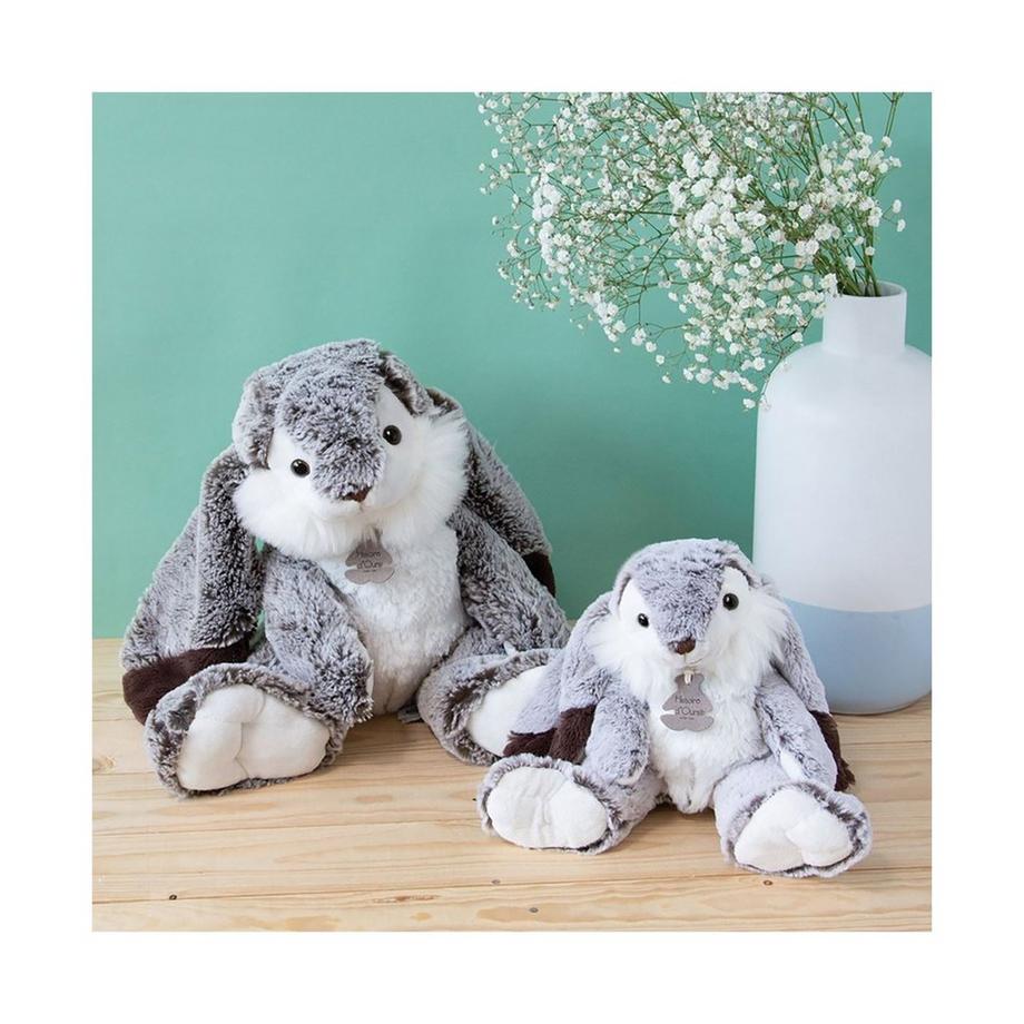 Histoire d'Ours  Lapin Marius 