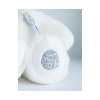 Histoire d'Ours  Plüschbär 