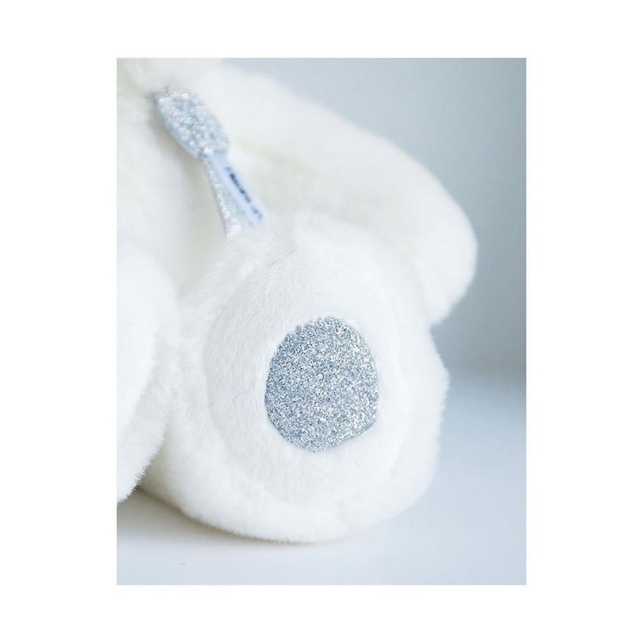 Histoire d'Ours  Peluche ours 