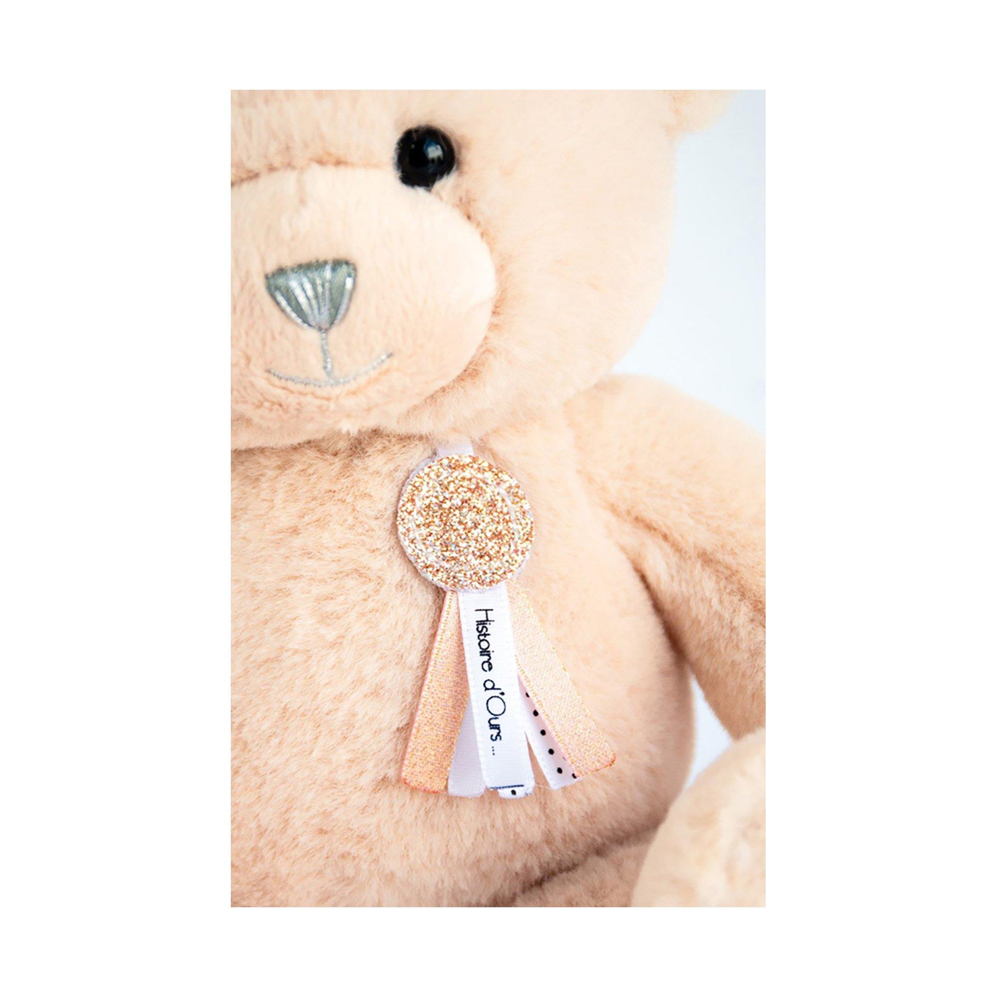 Histoire d'Ours  Peluche ours 