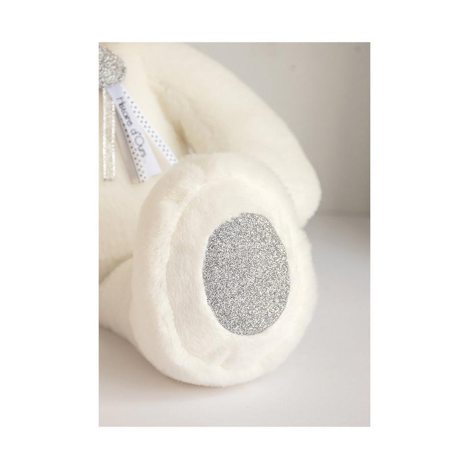 Histoire d'Ours  Peluche ours 