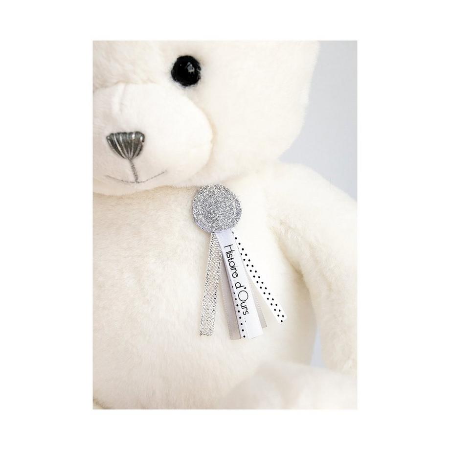 Histoire d'Ours  Peluche ours 