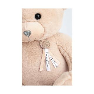 Histoire d'Ours  Peluche ours 