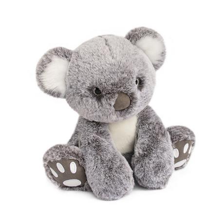 Histoire d'Ours  Koala 