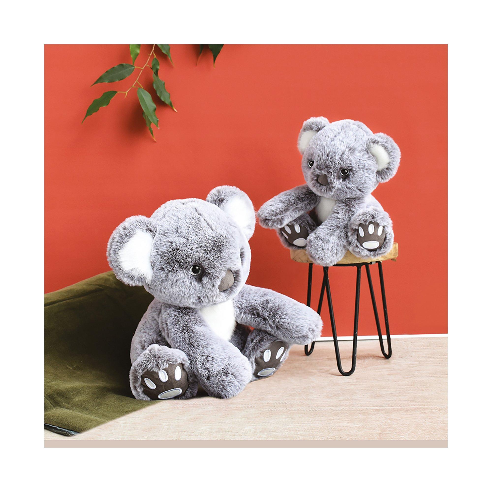 Histoire d'Ours  Koala 