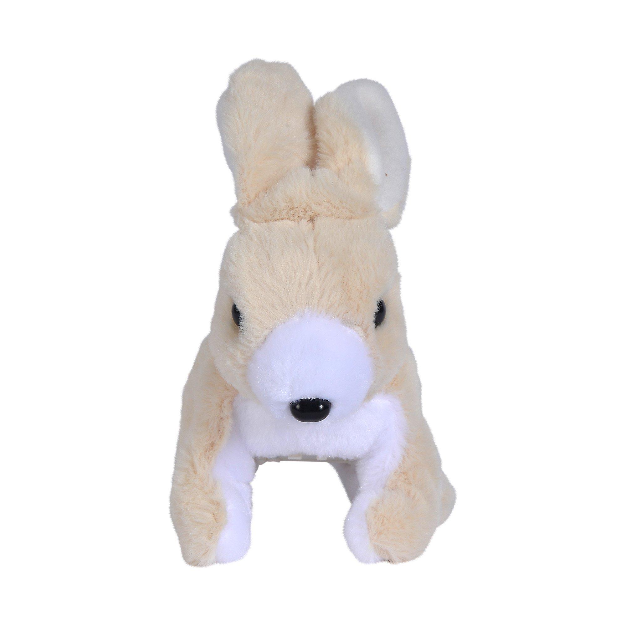 Simba  Lapin, peluche 