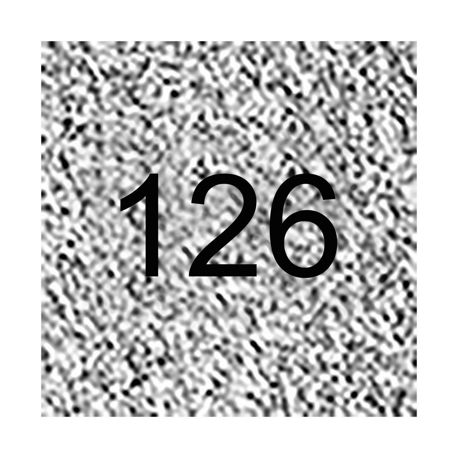 diego dalla palma Pearly Eyeshadow Pearly Eyeshadow 