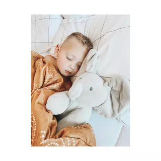 Commentaires en ligne: FLAPPY L'ÉLÉPHANT – GUND – Peluche  Interactive pour Bébé – Bouge, Parle et Chante en Français pour l'Éveil  de Votre Enfant – Peluche Éléphant Taille 30 cm –