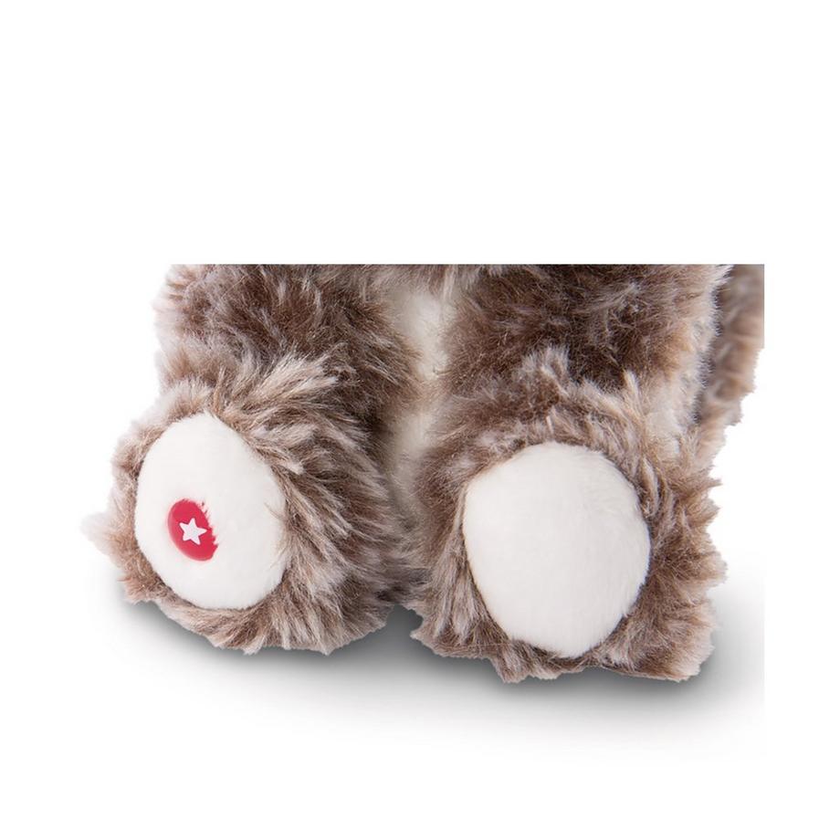 NICI  Waschbär Clooney  