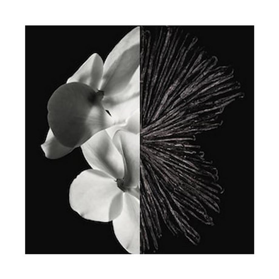 GIVENCHY Gentleman Eau de Parfum  