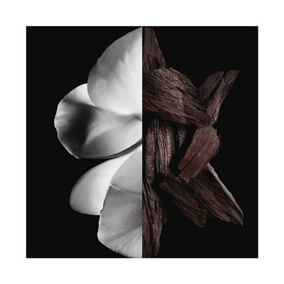 GIVENCHY GENTLEMAN BOISE Eau de parfum  