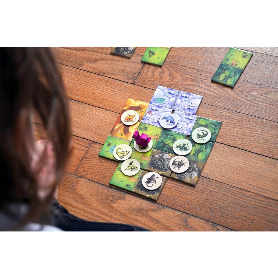 Blue Orange  Dragomino 