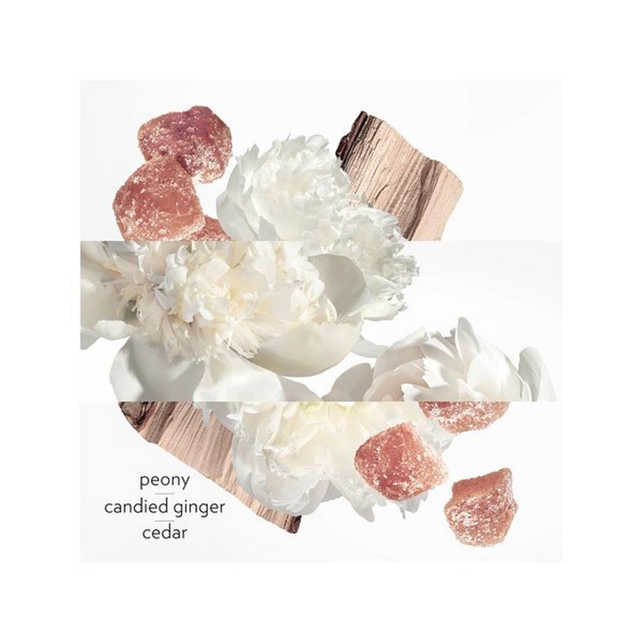 HERMÈS Twilly d'Hermès Eau Ginger, Eau de Parfum  