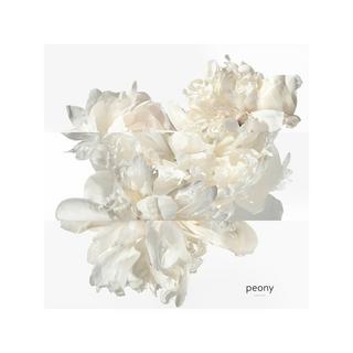 HERMÈS Twilly d'Hermès Eau Ginger, Eau de Parfum  