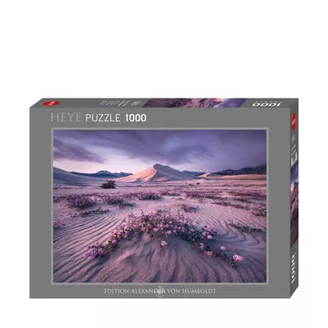 Arrow Dynamic, 1000 pezzi