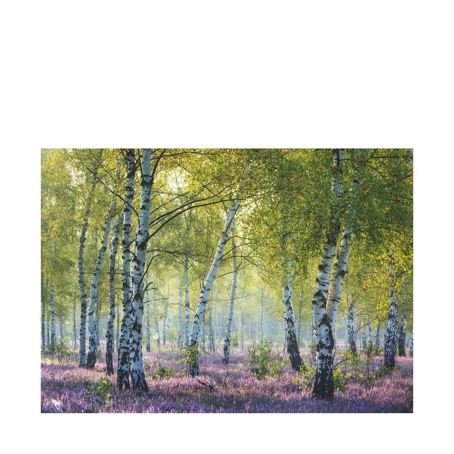 Ravensburger  Forêt de bouleaux, 1000 pièces 