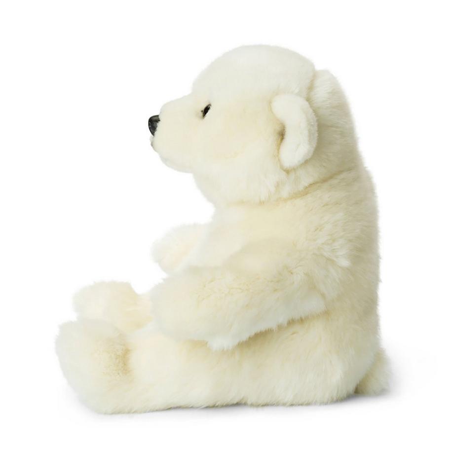 WWF  Ours polaire 