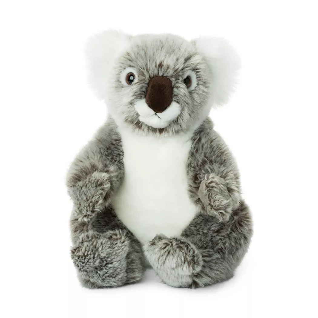 WWF - Koala, 22cm, Multicolor