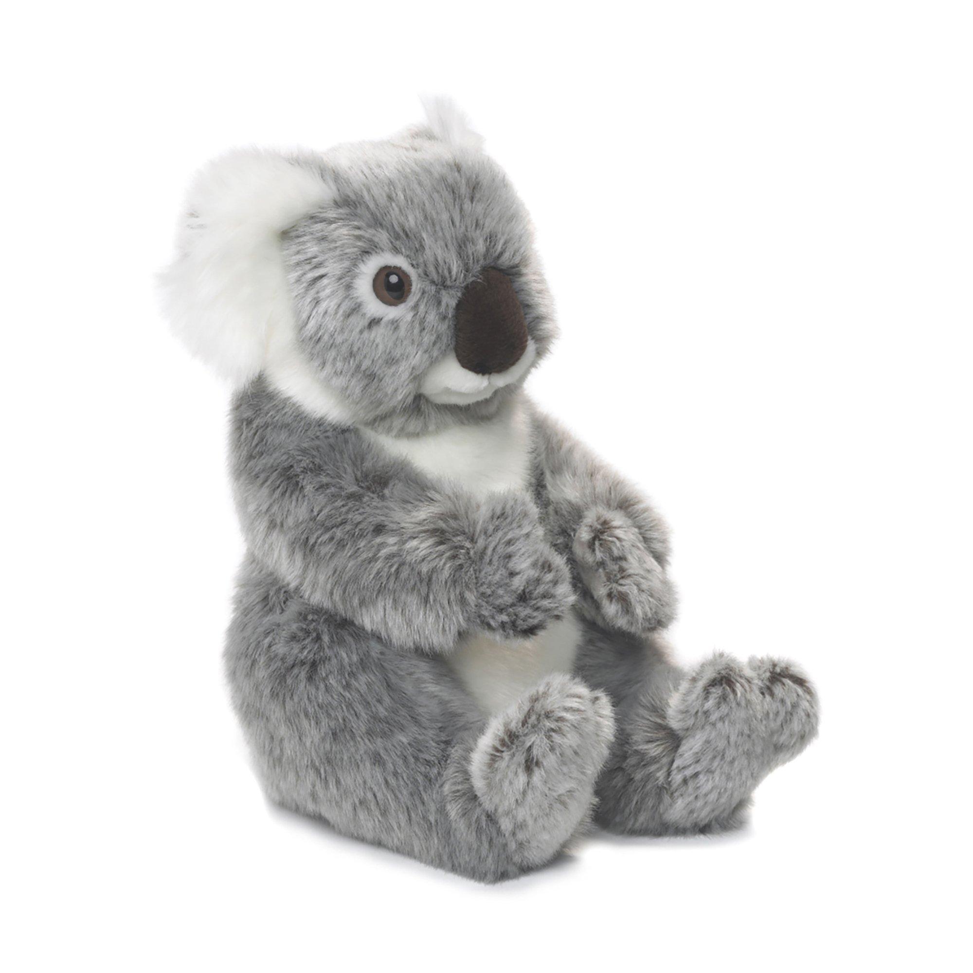 WWF  Koala 