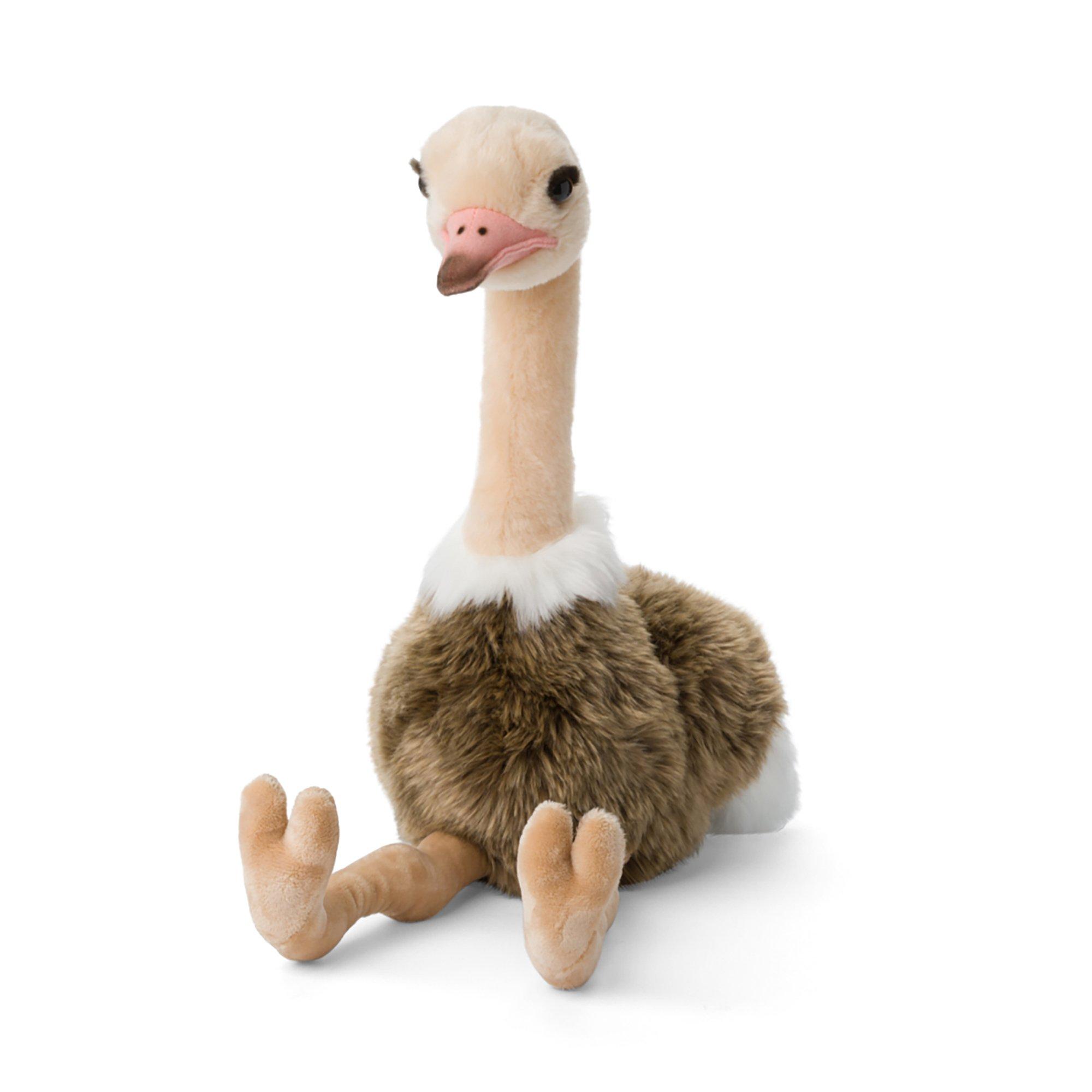 Image of Strauss sitzend Multicolor