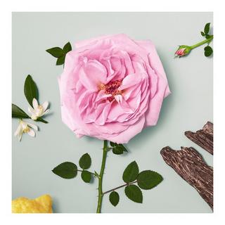 Chloé Chloé Rose Naturelle Eau de Parfum 