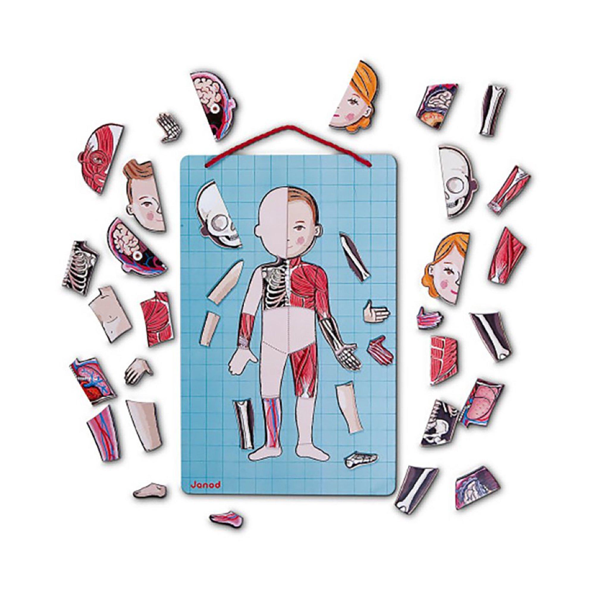 Janod  Corpo magnetico 