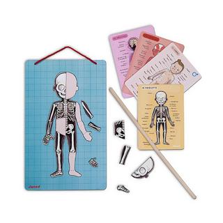 Janod  Corpo magnetico 