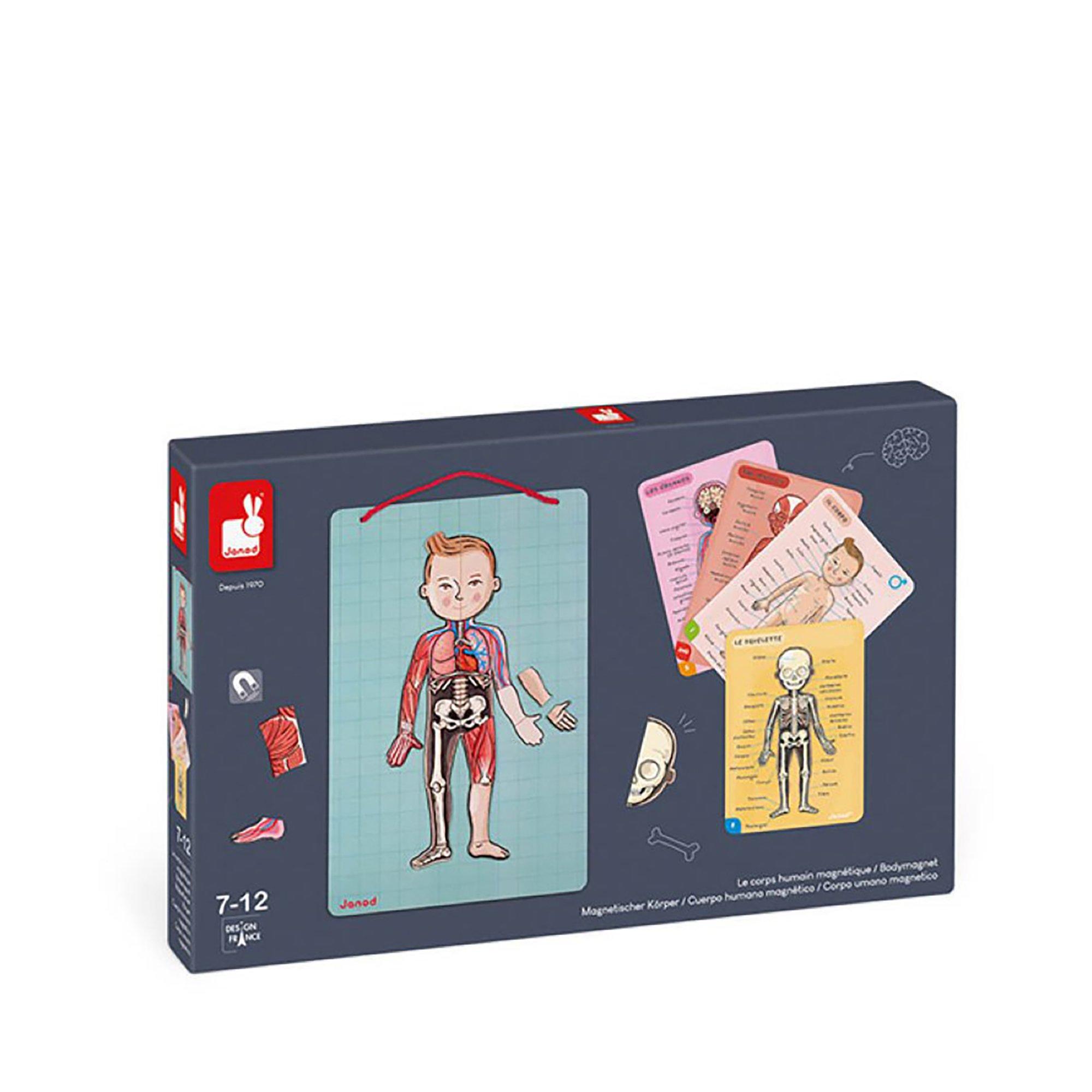 Janod  Corpo magnetico 