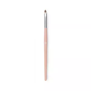 The Lip Brush 300
