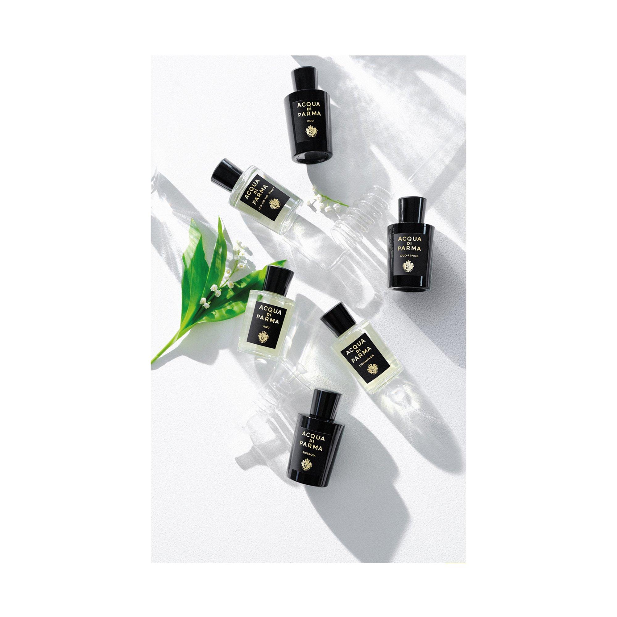 ACQUA DI PARMA SIGNATURE Oud&Spice Eau de Parfum  