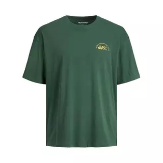 Jack & Jones Junior T-Shirt T-Shirt Verde
