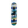 SCHILDKRÖT  Skateboard Slider Aloha 